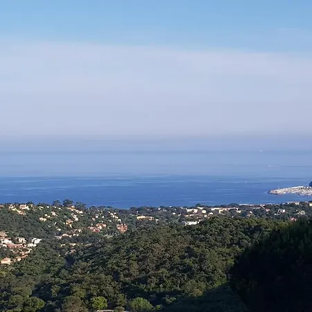 Hébergement de vacances Les Albizias *