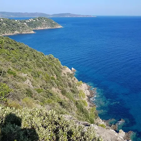 Les Albizias * Cavalaire-sur-Mer