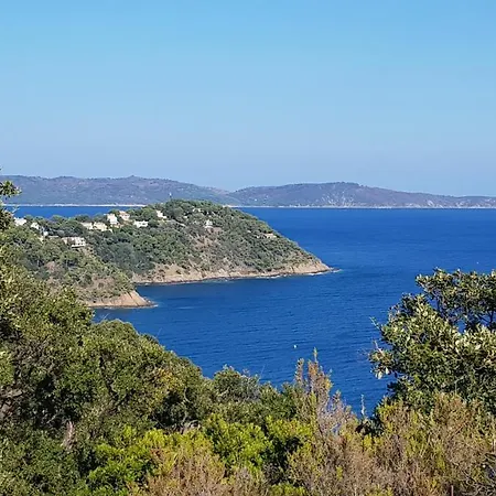 Les Albizias Cavalaire-sur-Mer