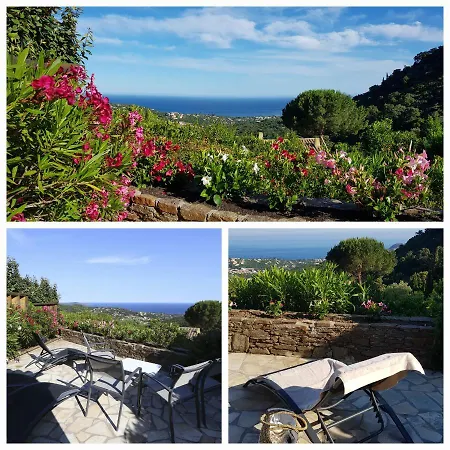 Les Albizias Hébergement de vacances